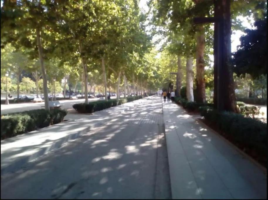 Hogar Del Lirio Apartment Granada Exterior photo